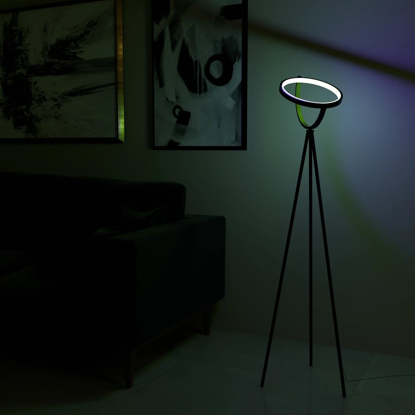 Halo Floor Lamp