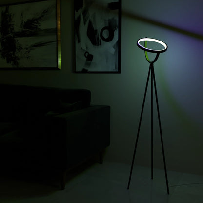 Halo Floor Lamp