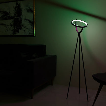 Halo Floor Lamp
