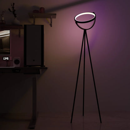 Halo Floor Lamp