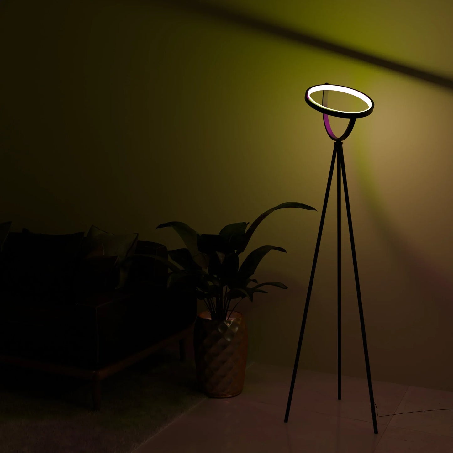 Halo Floor Lamp