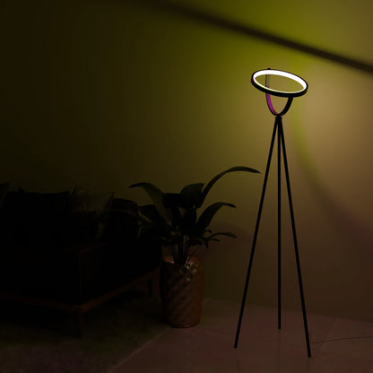 Halo Floor Lamp