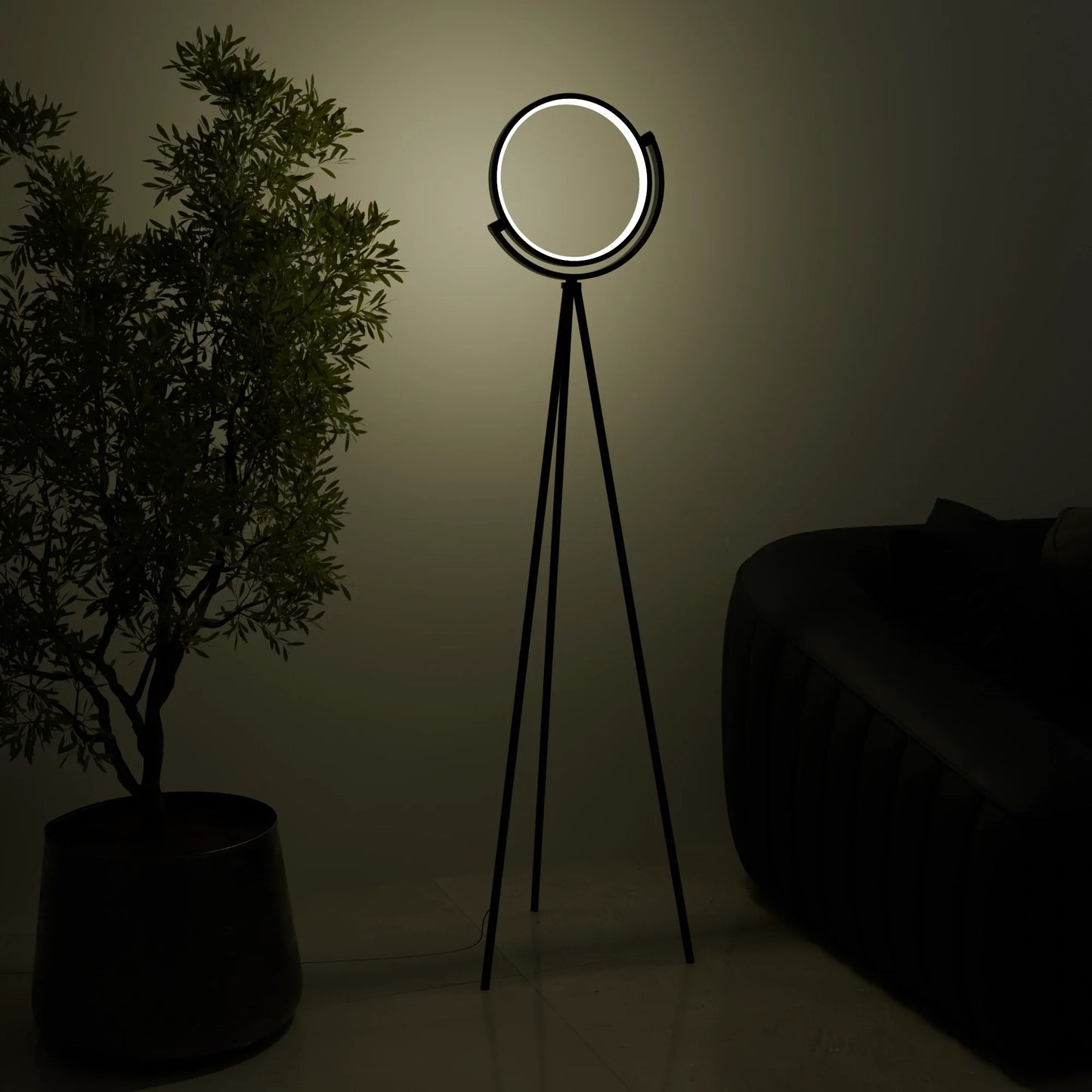 Halo Floor Lamp