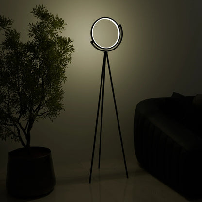 Halo Floor Lamp